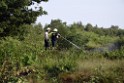 Waldbrand Koeln Hoehenhaus Hoehenfelder Mauspfad P136